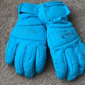 Blue ski gloves